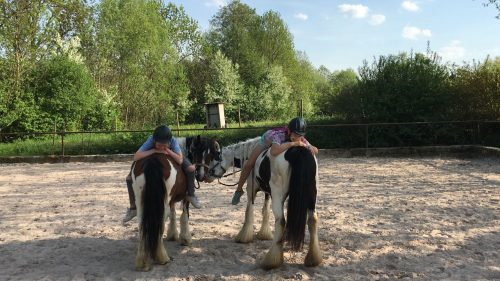 Live-Reittherapie, Ihre Reittherapie / Hippotherapie für die ganze Familie. Pferdegestütztes Persönlichkeitstraining, Therapeutisches Reiten, in Weinsberg, Heilbronn und im gesamten Unterland