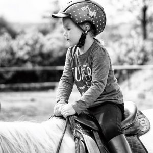 Live-Reittherapie, Ihre Reittherapie / Hippotherapie für die ganze Familie. Pferdegestütztes Persönlichkeitstraining, Therapeutisches Reiten, in Weinsberg, Heilbronn und im gesamten Unterland