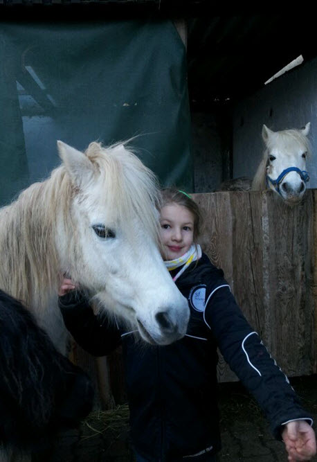 Live-Reittherapie, Ihre Reittherapie / Hippotherapie für die ganze Familie. Pferdegestütztes Persönlichkeitstraining, Therapeutisches Reiten, in Weinsberg, Heilbronn und im gesamten Unterland