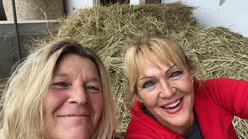 Live-Reittherapie, Ihre Reittherapie / Hippotherapie für die ganze Familie. Pferdegestütztes Persönlichkeitstraining, Therapeutisches Reiten, in Weinsberg, Heilbronn und im gesamten Unterland