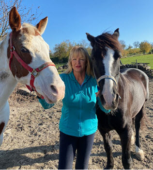 Live-Reittherapie, Ihre Reittherapie / Hippotherapie für die ganze Familie. Pferdegestütztes Persönlichkeitstraining, Therapeutisches Reiten, in Weinsberg, Heilbronn und im gesamten Unterland